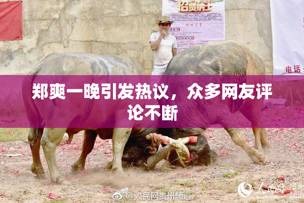 郑爽一晚引发热议，众多网友评论不断