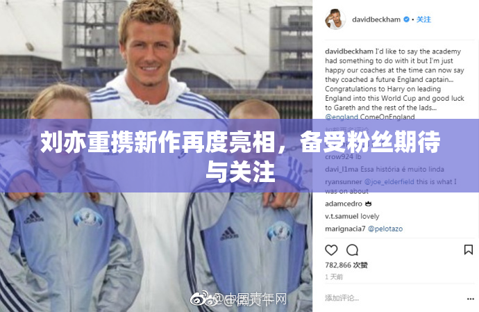 刘亦重携新作再度亮相，备受粉丝期待与关注