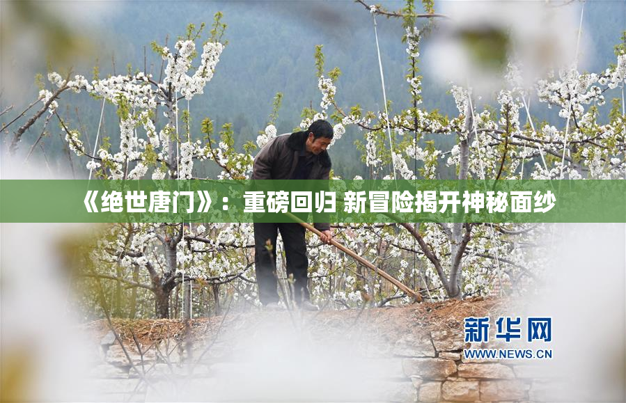 《绝世唐门》：重磅回归 新冒险揭开神秘面纱