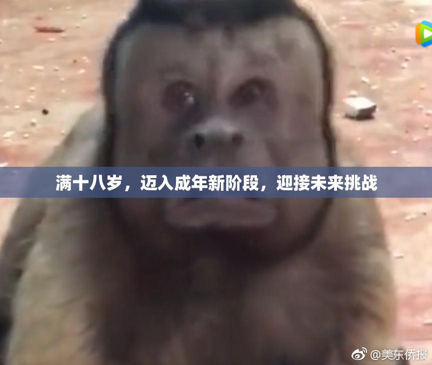 满十八岁，迈入成年新阶段，迎接未来挑战