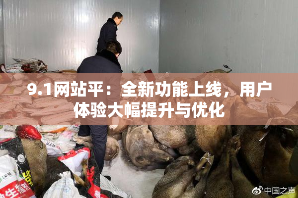 9.1网站平：全新功能上线，用户体验大幅提升与优化