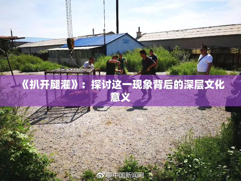 《扒开腿灌》：探讨这一现象背后的深层文化意义