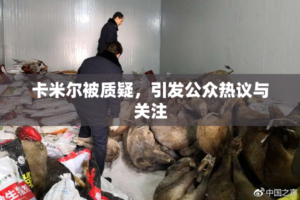 卡米尔被质疑，引发公众热议与关注