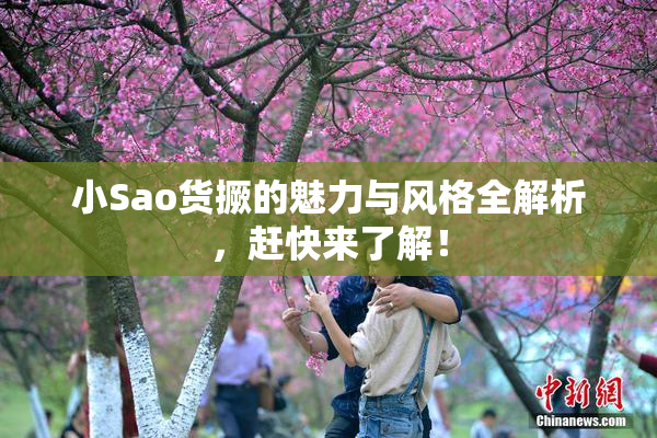 小Sao货撅的魅力与风格全解析，赶快来了解！