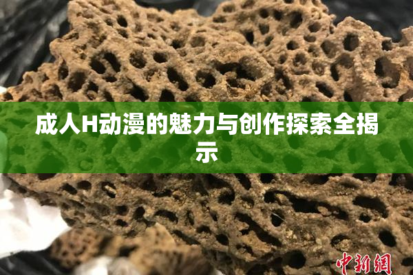 成人H动漫的魅力与创作探索全揭示