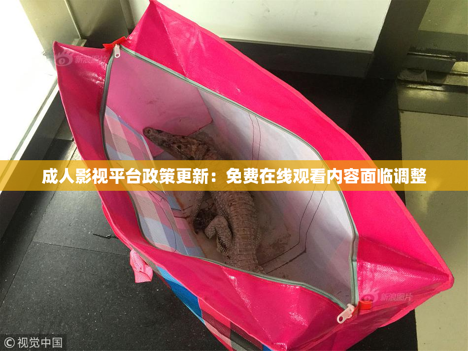 成人影视平台政策更新：免费在线观看内容面临调整