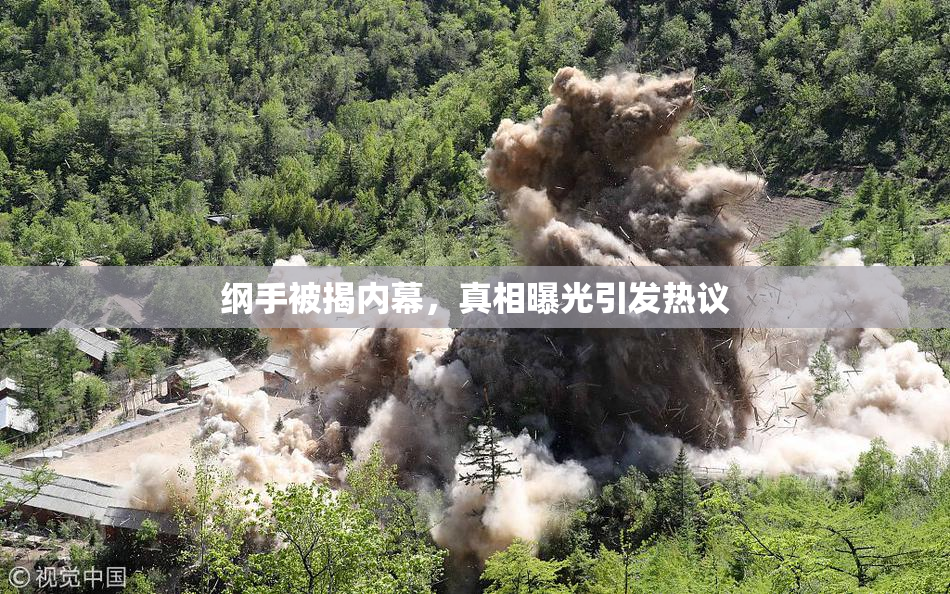 纲手被揭内幕，真相曝光引发热议