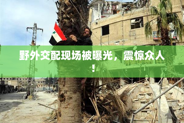 野外交配现场被曝光，震惊众人！