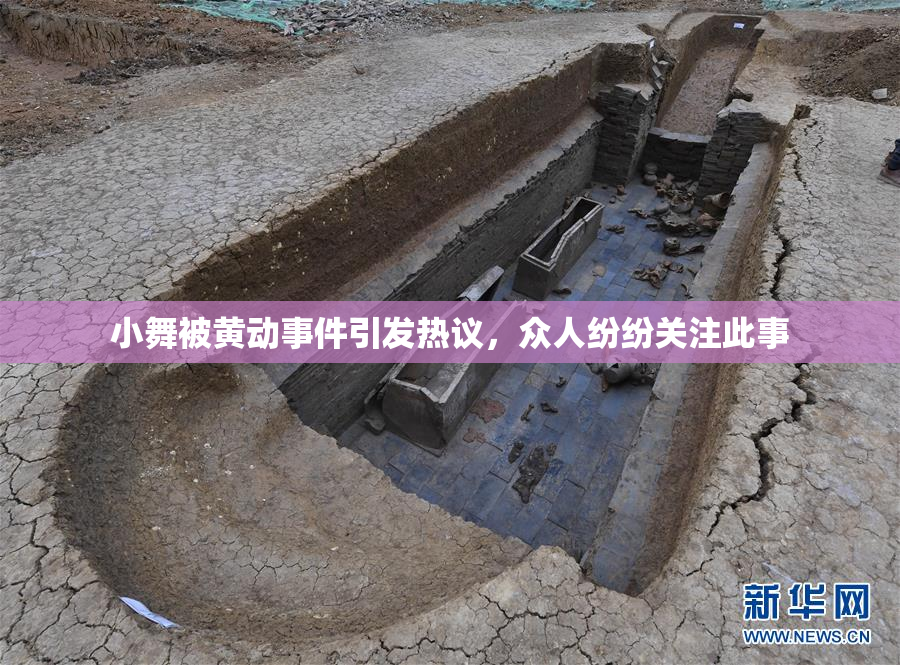 小舞被黄动事件引发热议，众人纷纷关注此事