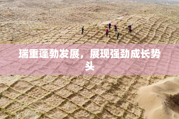 瑞重蓬勃发展，展现强劲成长势头