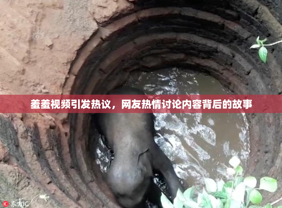 羞羞视频引发热议，网友热情讨论内容背后的故事