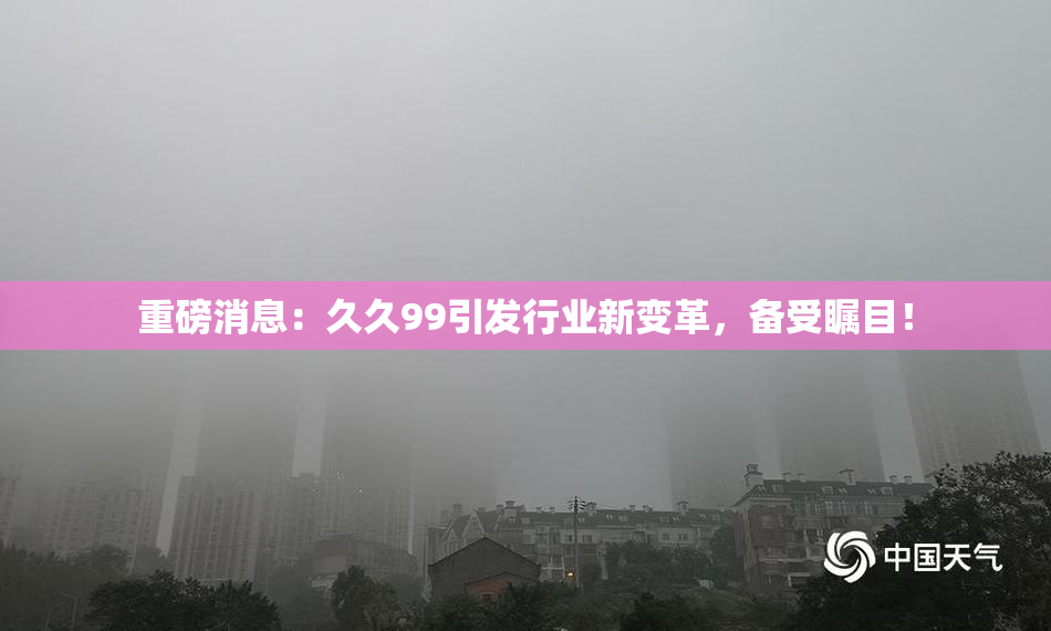 重磅消息：久久99引发行业新变革，备受瞩目！