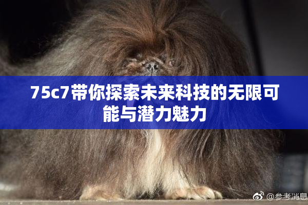 75c7带你探索未来科技的无限可能与潜力魅力