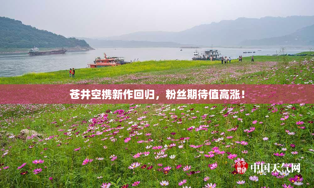 苍井空携新作回归，粉丝期待值高涨！