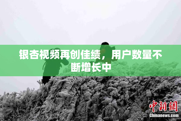 银杏视频再创佳绩，用户数量不断增长中