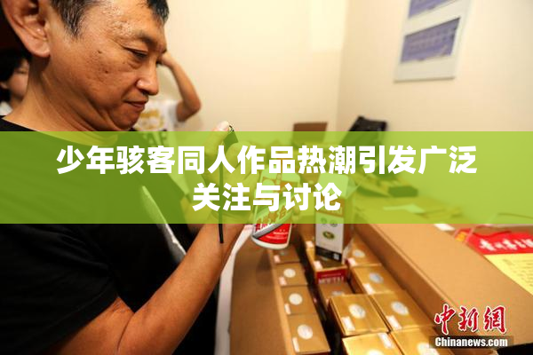少年骇客同人作品热潮引发广泛关注与讨论