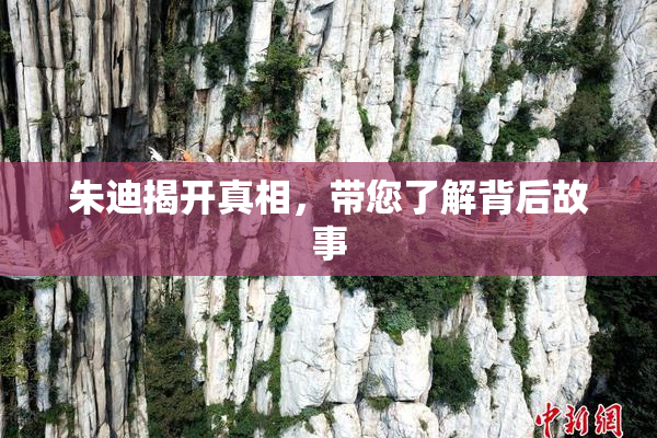 朱迪揭开真相，带您了解背后故事