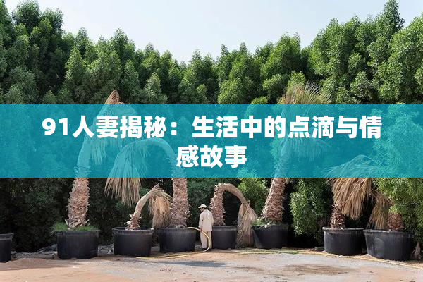 91人妻揭秘：生活中的点滴与情感故事