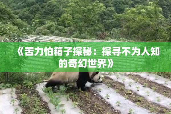 《苦力怕箱子探秘：探寻不为人知的奇幻世界》