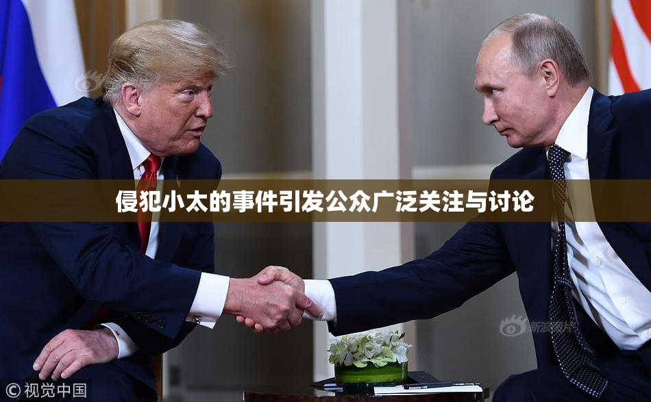 侵犯小太的事件引发公众广泛关注与讨论