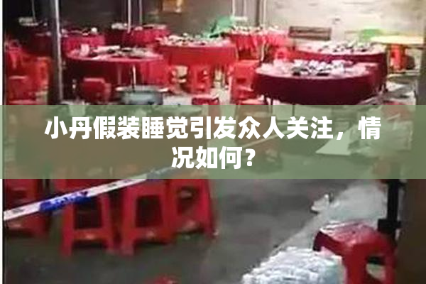 小丹假装睡觉引发众人关注，情况如何？