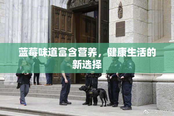蓝莓味道富含营养，健康生活的新选择