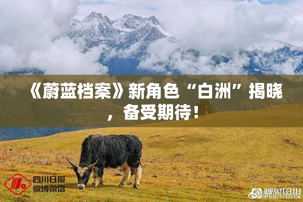 《蔚蓝档案》新角色“白洲”揭晓，备受期待！