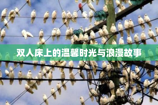 双人床上的温馨时光与浪漫故事
