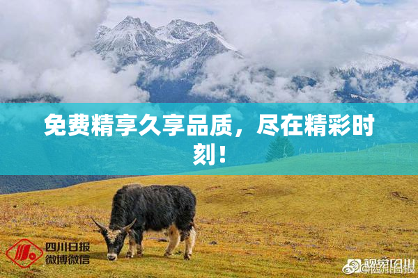免费精享久享品质，尽在精彩时刻！