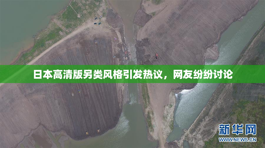 日本高清版另类风格引发热议，网友纷纷讨论