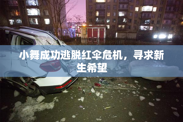 小舞成功逃脱红伞危机，寻求新生希望