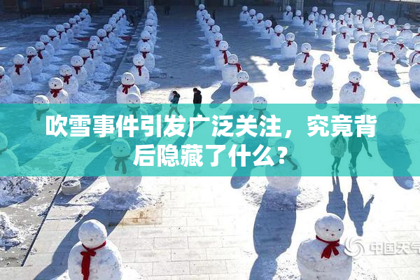 吹雪事件引发广泛关注，究竟背后隐藏了什么？