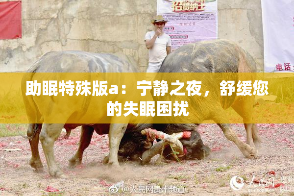 助眠特殊版a：宁静之夜，舒缓您的失眠困扰