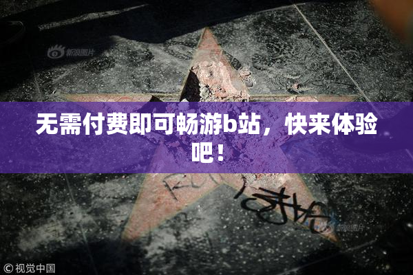 无需付费即可畅游b站，快来体验吧！