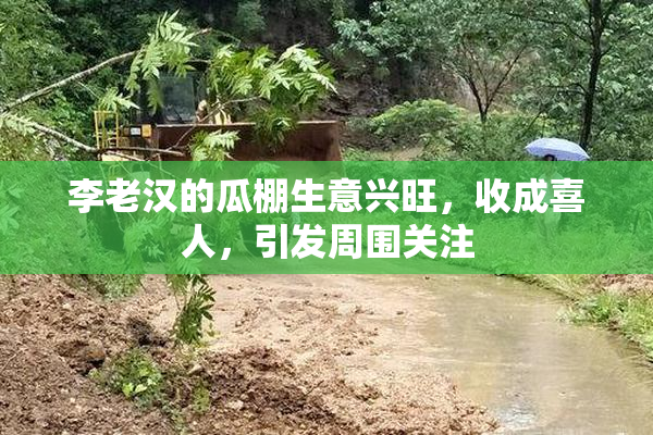 李老汉的瓜棚生意兴旺，收成喜人，引发周围关注