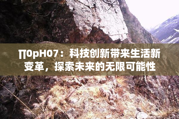 ∏0pH07：科技创新带来生活新变革，探索未来的无限可能性