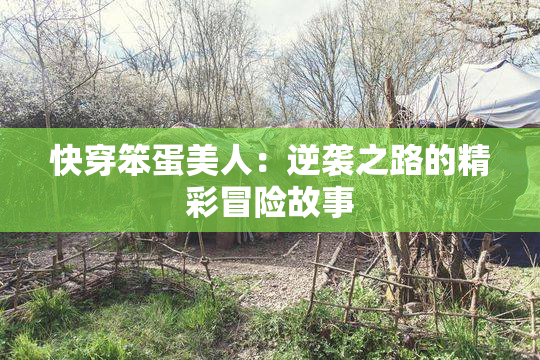 快穿笨蛋美人：逆袭之路的精彩冒险故事