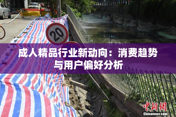 成人精品行业新动向：消费趋势与用户偏好分析