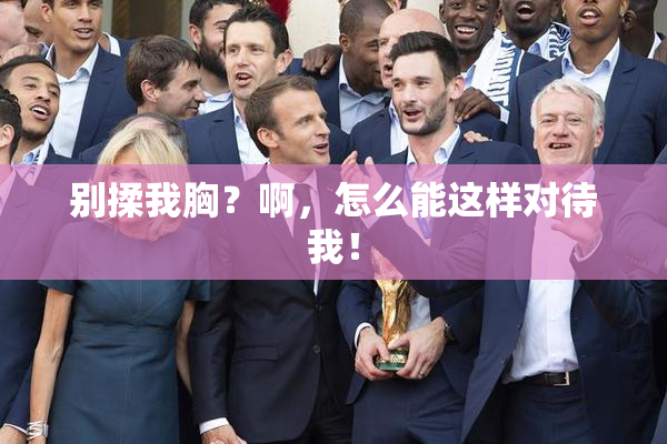 别揉我胸？啊，怎么能这样对待我！