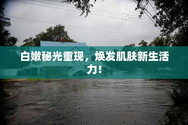 白嫩秘光重现，焕发肌肤新生活力！