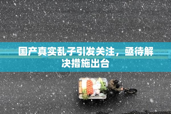 国产真实乱子引发关注，亟待解决措施出台