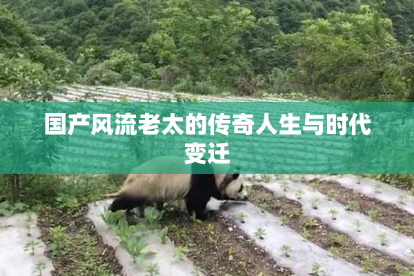 国产风流老太的传奇人生与时代变迁