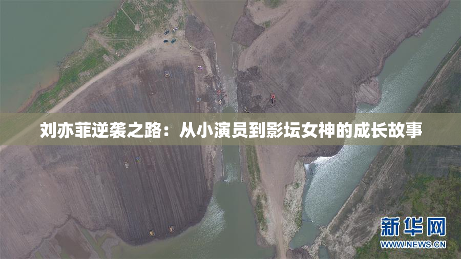 刘亦菲逆袭之路：从小演员到影坛女神的成长故事