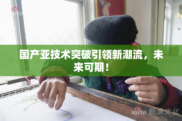 国产亚技术突破引领新潮流，未来可期！