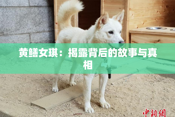 黄鳝女琪：揭露背后的故事与真相