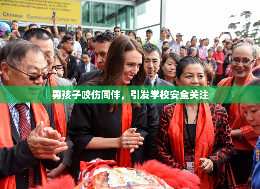 男孩子咬伤同伴，引发学校安全关注