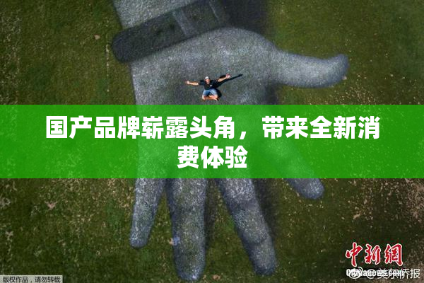 国产品牌崭露头角，带来全新消费体验