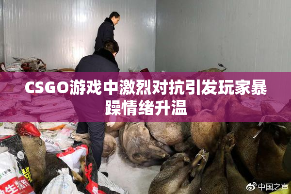 CSGO游戏中激烈对抗引发玩家暴躁情绪升温
