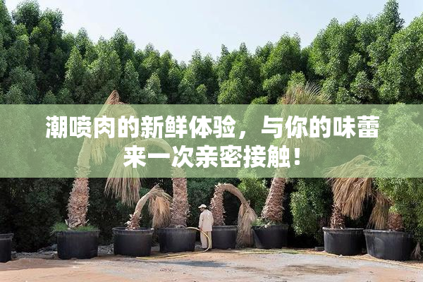 潮喷肉的新鲜体验，与你的味蕾来一次亲密接触！