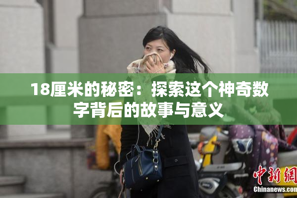 18厘米的秘密：探索这个神奇数字背后的故事与意义